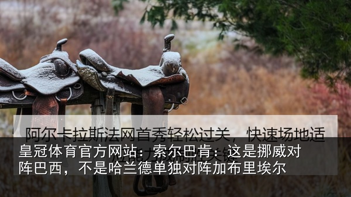 皇冠体育官方网站：索尔巴肯：这是挪威对阵巴西，不是哈兰德单独对阵加布里埃尔
