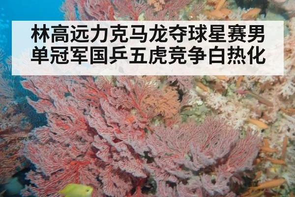 林高远力克马龙夺球星赛男单冠军国乒五虎竞争白热化
